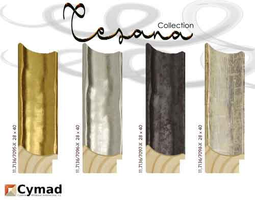 banner Cesana collection